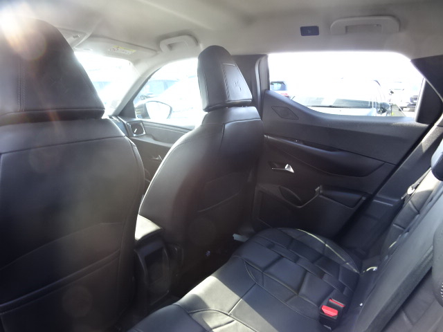 Ds DS 3 Crossback