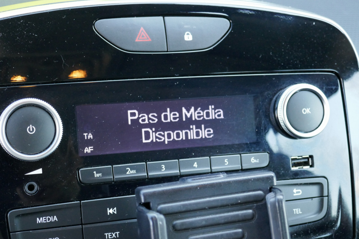 Renault Clio (4)