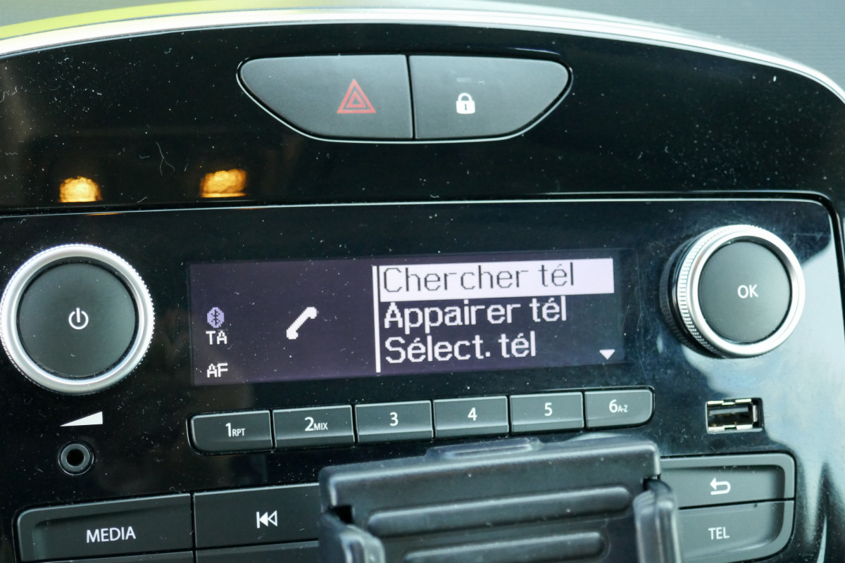 Renault Clio (4)