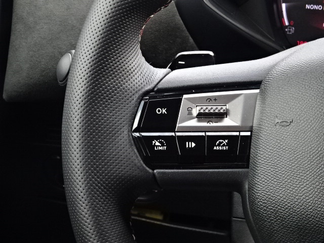Ds DS 3