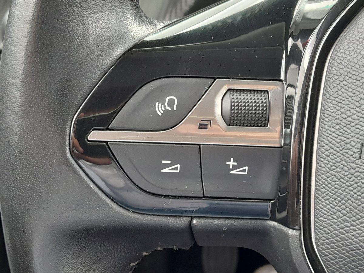 Peugeot 2008 (2)