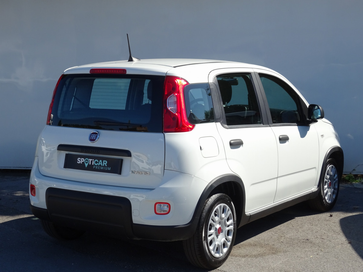 Fiat Panda (3)