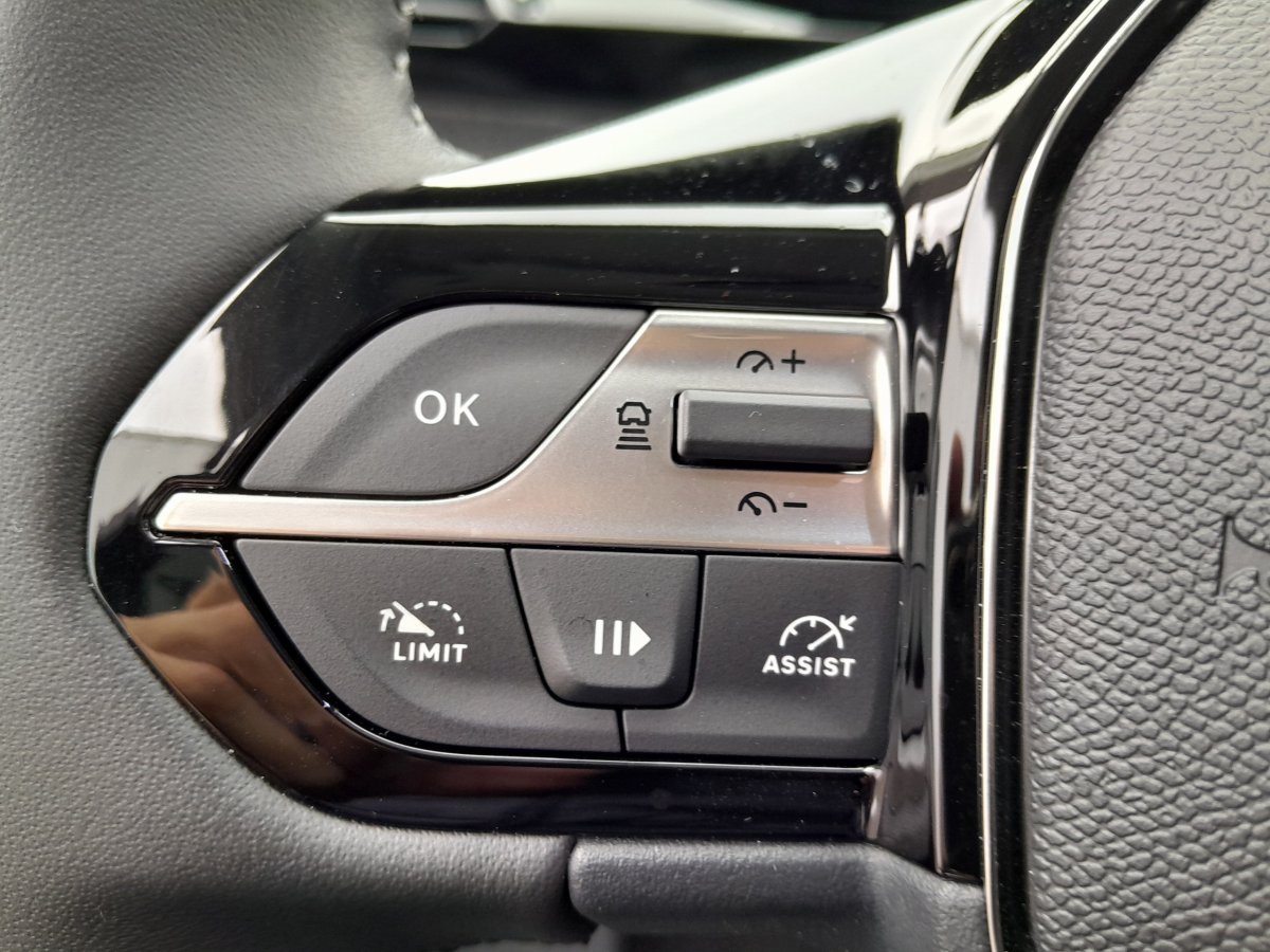 Peugeot 308 (3)