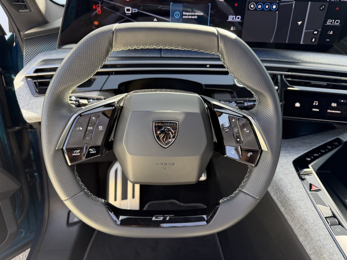 Peugeot 3008 (3)