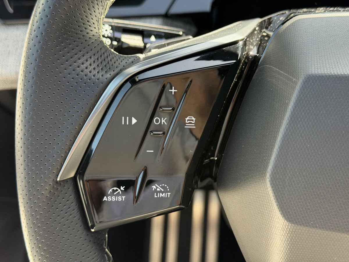 Peugeot 3008 (3)