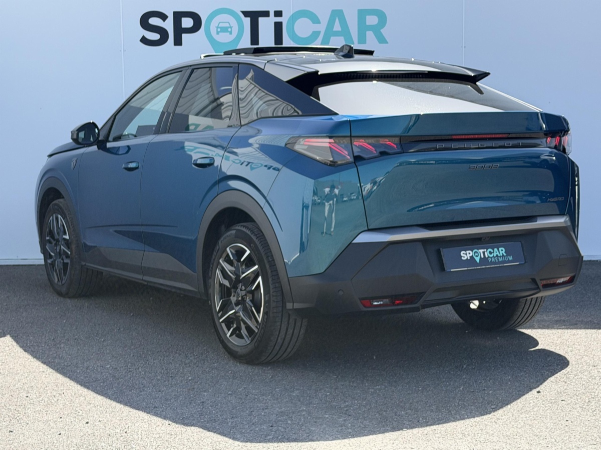 Peugeot 3008 (3)