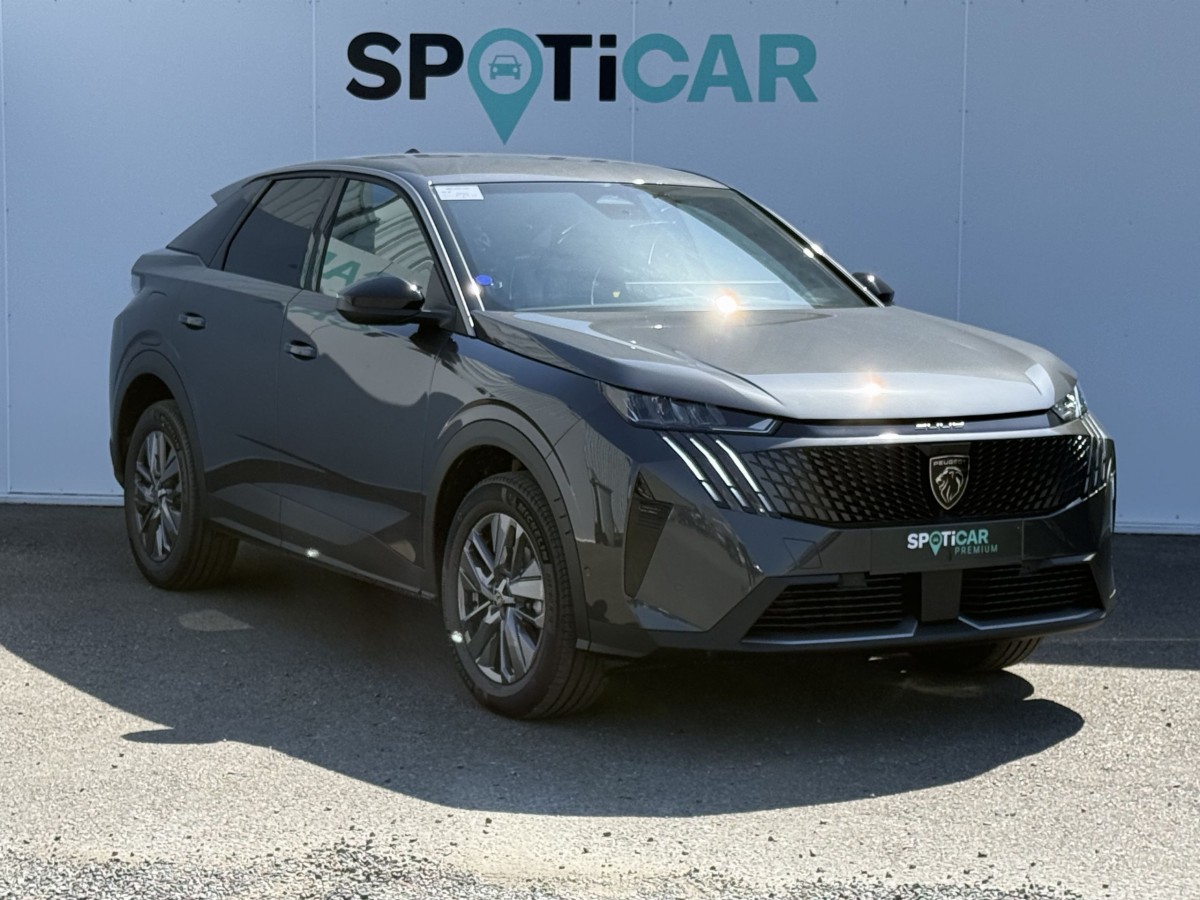 Peugeot 3008 (3)