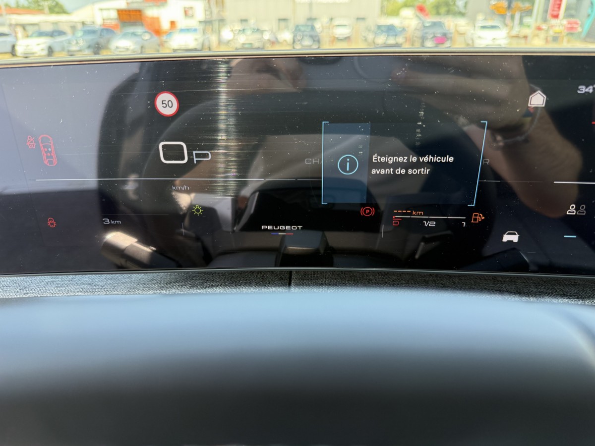 Peugeot 3008 (3)