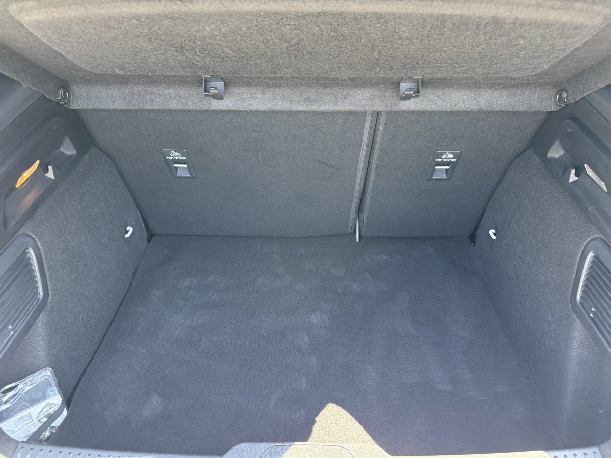 Ford Focus (4)