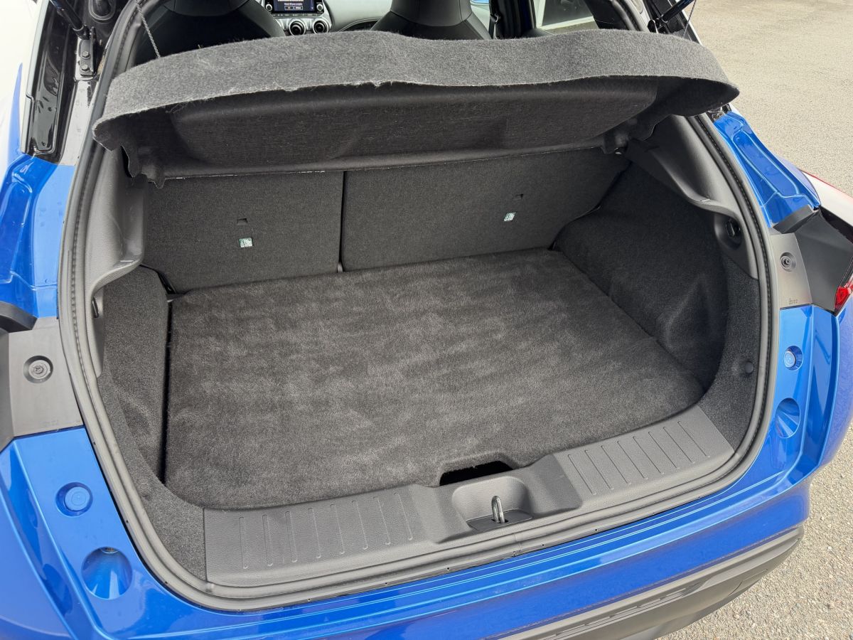 Nissan Juke (2)