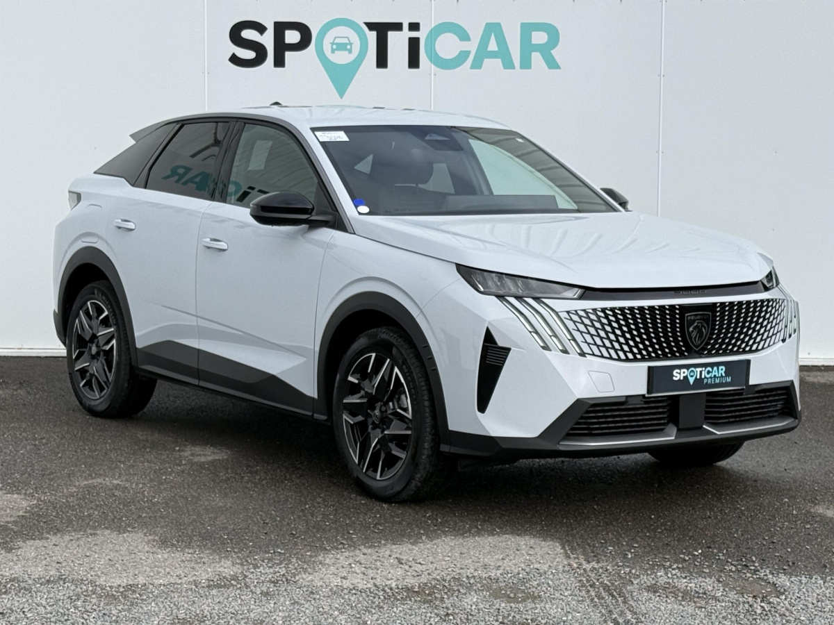 Peugeot 3008 (3)