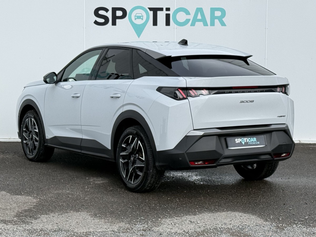 Peugeot 3008 (3)