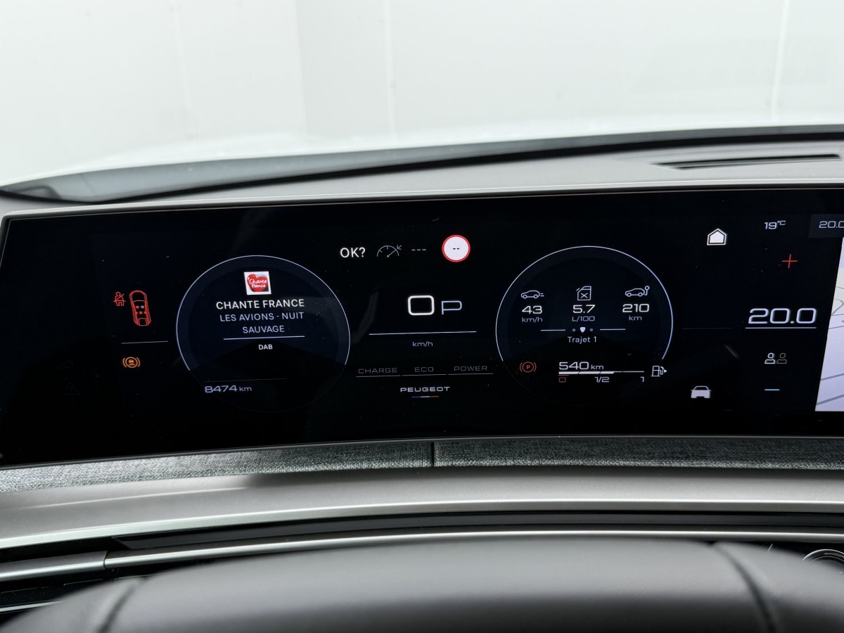Peugeot 3008 (3)