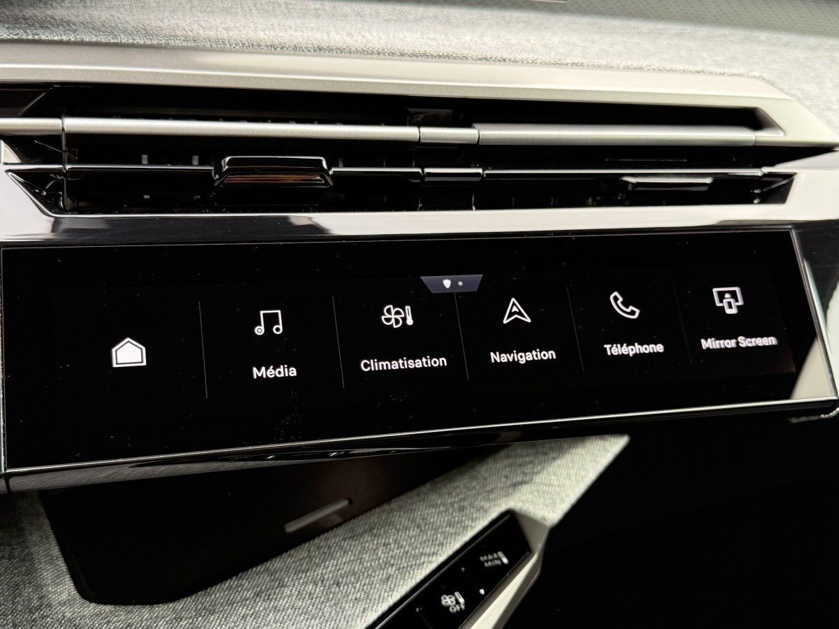Peugeot 3008 (3)