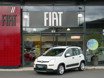 Fiat Panda (3) 1.0 70 ch BSG S/S Hybrid City Life MY22